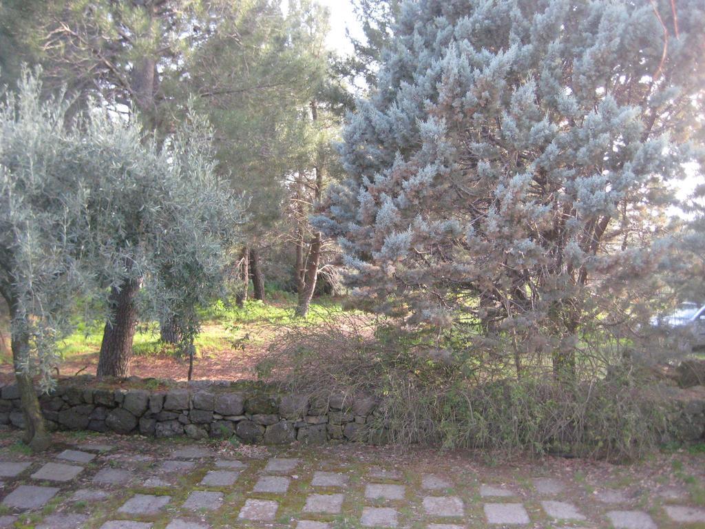 Vila La Casa Del Cavaliere Santa Maria di Licodia Pokoj fotografie